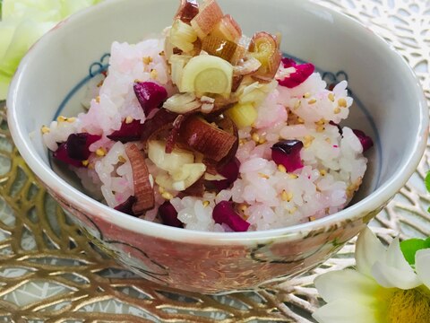 これは美味❣️☆茗荷（みょうが）としば漬けご飯☆